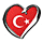 eurovision song contest 2004