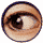 oog