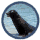 zeehond