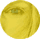 zijonline