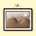 flickr